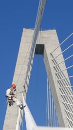ravenel bridge inspection